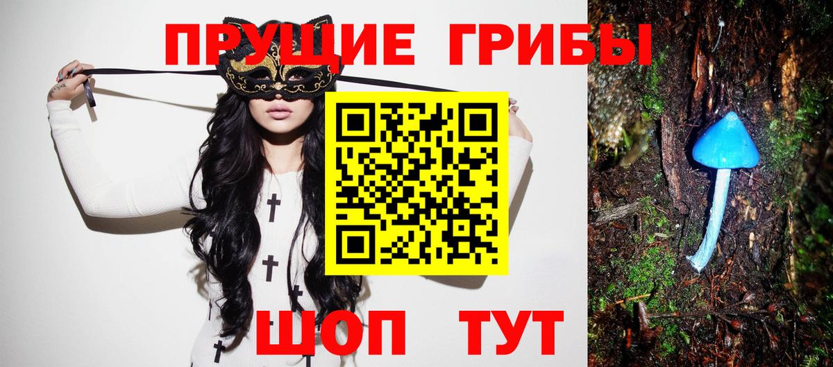 Галлюциногенные грибы GOLDEN TEACHER Хабаровск